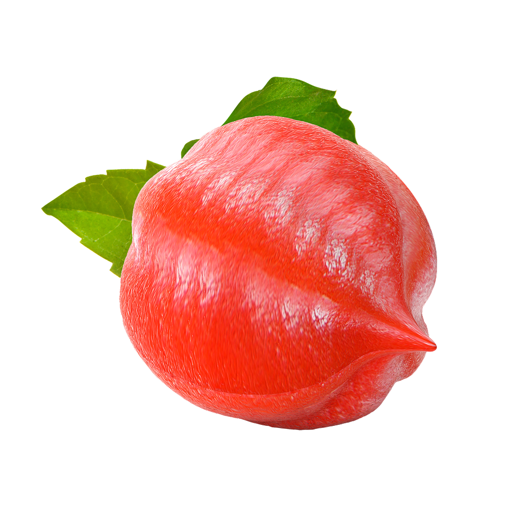 Výťažok z guarany