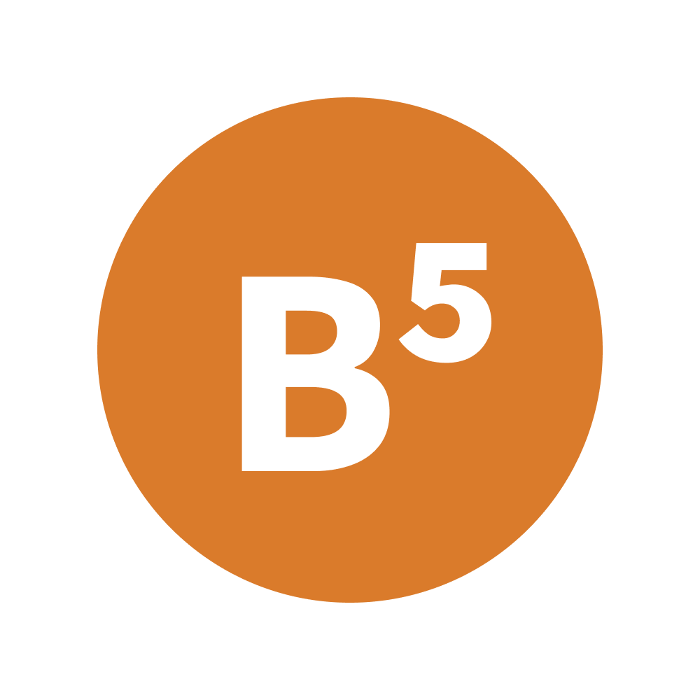 Vitamín B5.